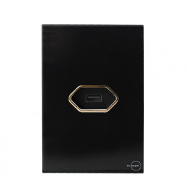 Conjunto Entrada USB 2A 4x2 - Novara Preto Brilhante Gold